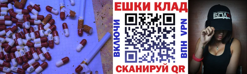 Экстази бентли  Купить закладки  Саки 
