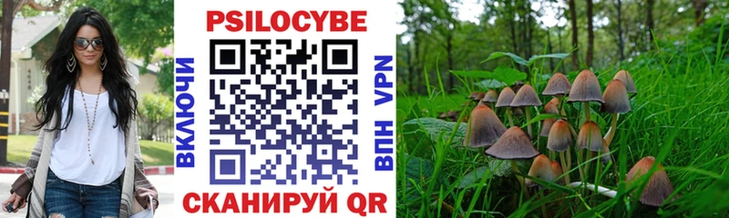 Псилоцибиновые грибы Psilocybe  Купить закладки  Саки 